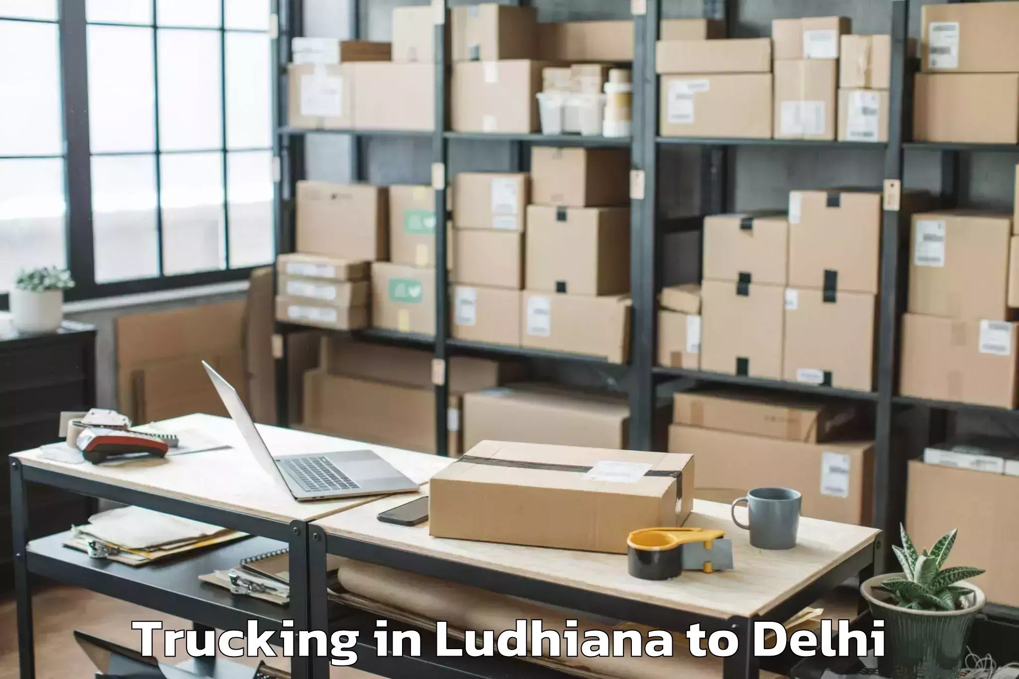 Professional Ludhiana to Dlf Emporio Mall Trucking